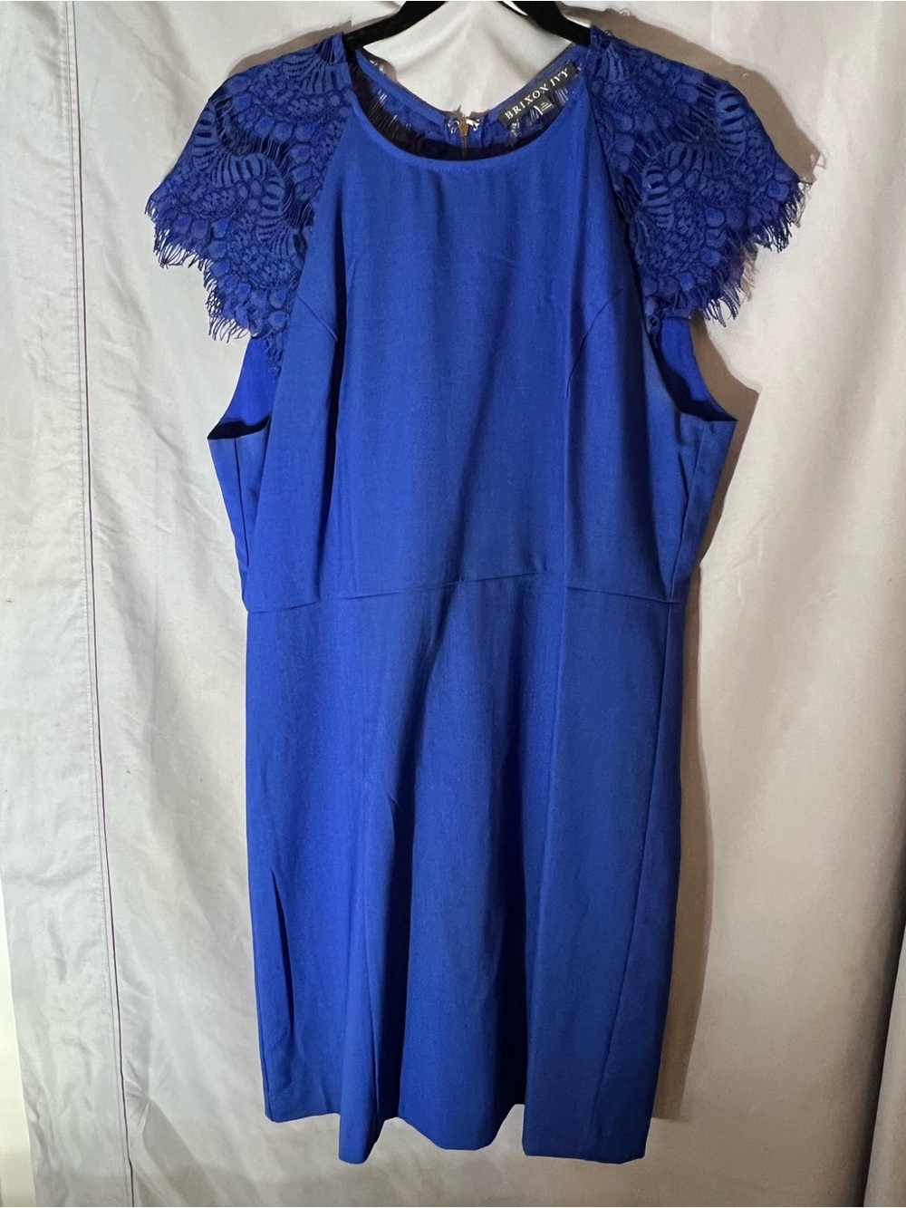 Brixon Ivy Cobalt Blue Lace Cap Sleeve Midi Dress